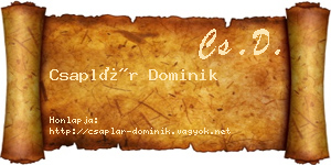 Csaplár Dominik névjegykártya